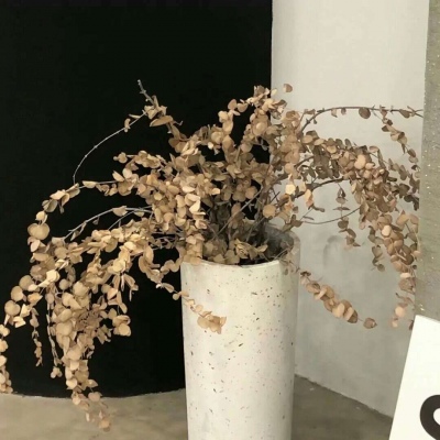 Furry数位板绘画教程Furry群